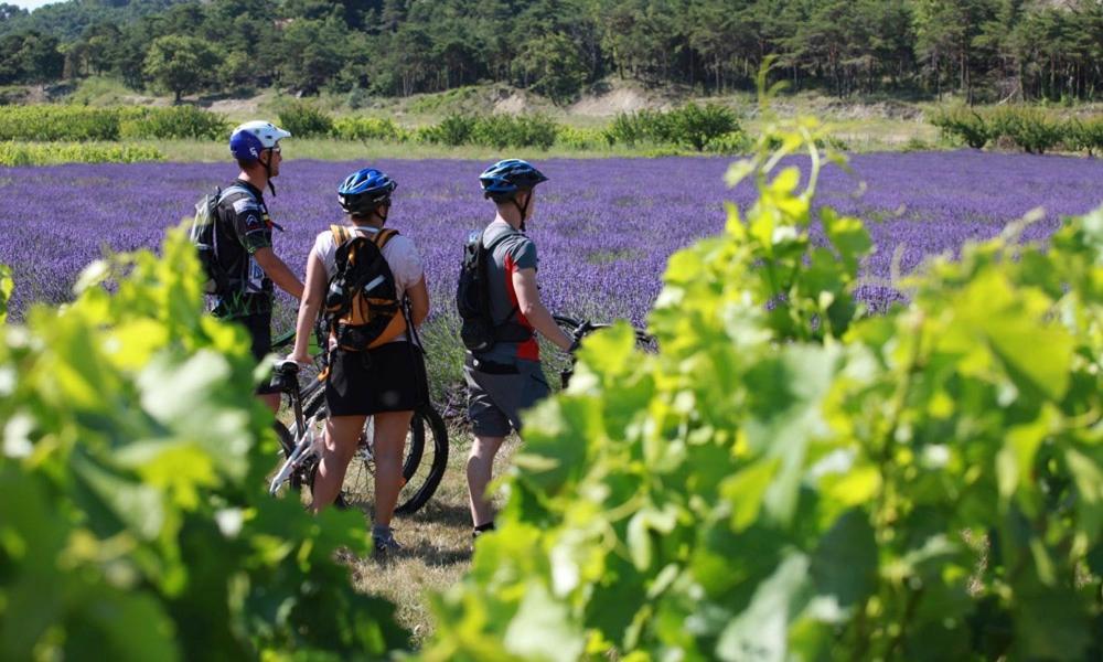 Lodges En Provence - Ecogites & Restaurant Insolites Richerenches Экстерьер фото