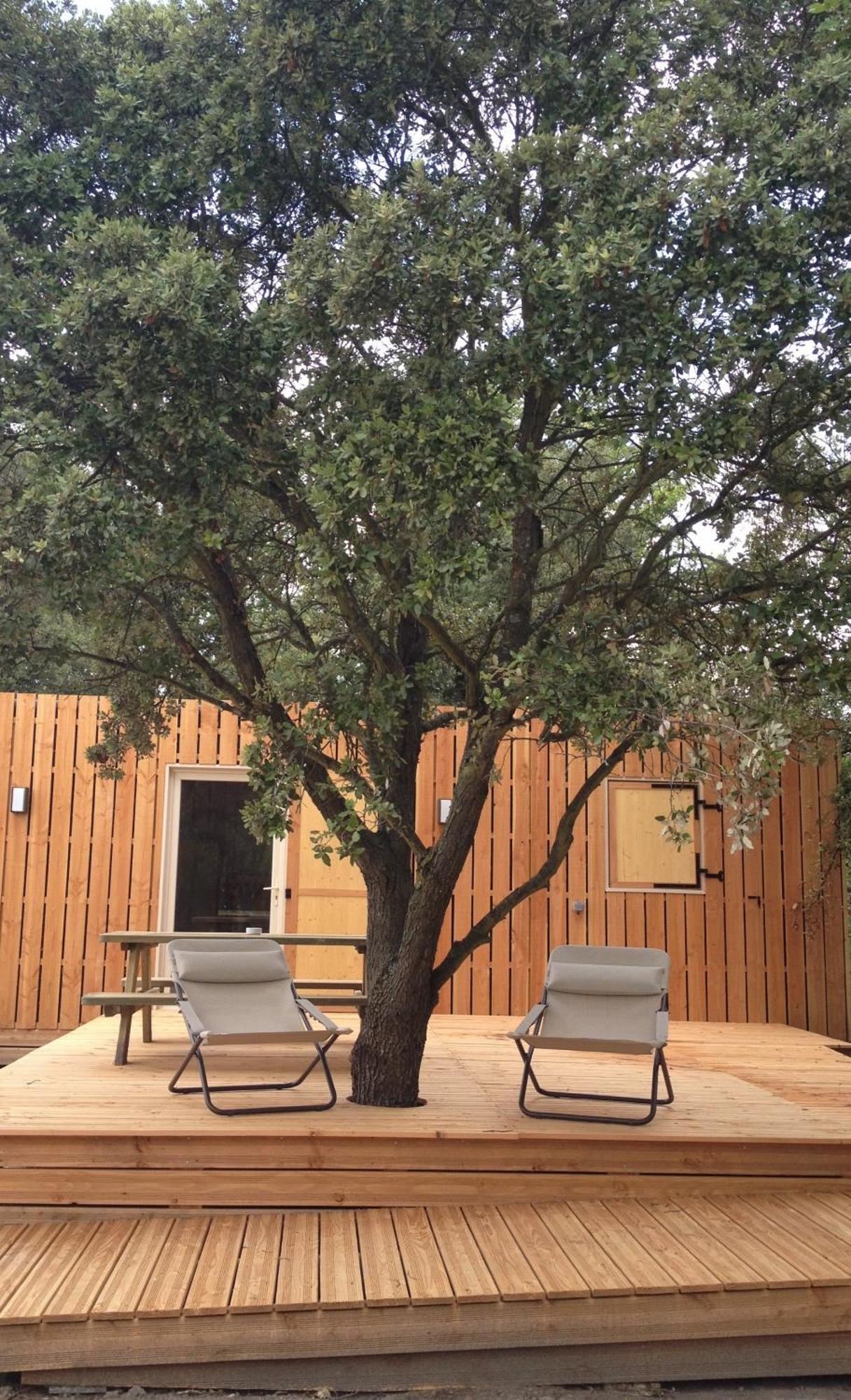 Lodges En Provence - Ecogites & Restaurant Insolites Richerenches Номер фото