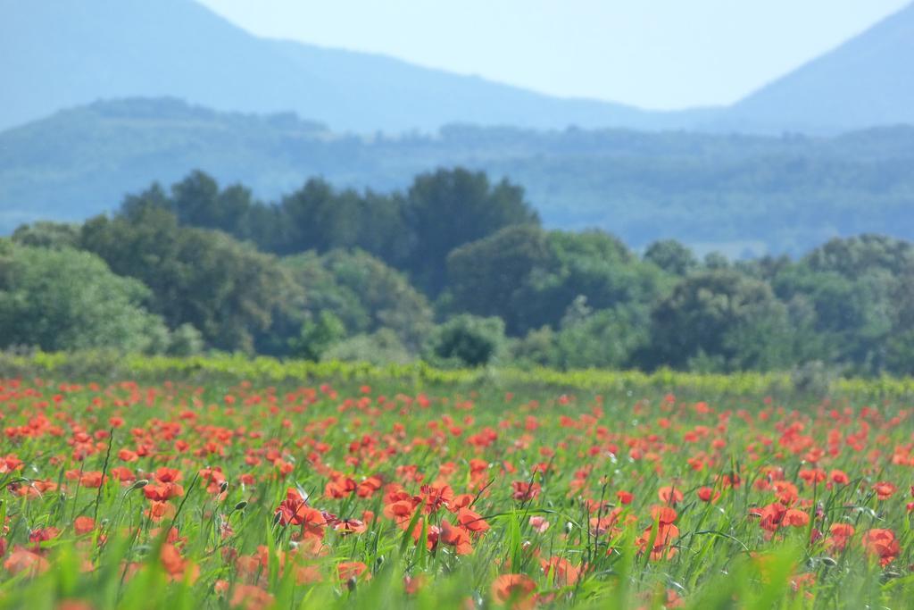 Lodges En Provence - Ecogites & Restaurant Insolites Richerenches Экстерьер фото